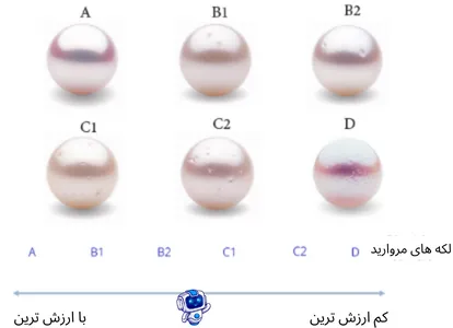 اینفوگرافیک سطح مروارید